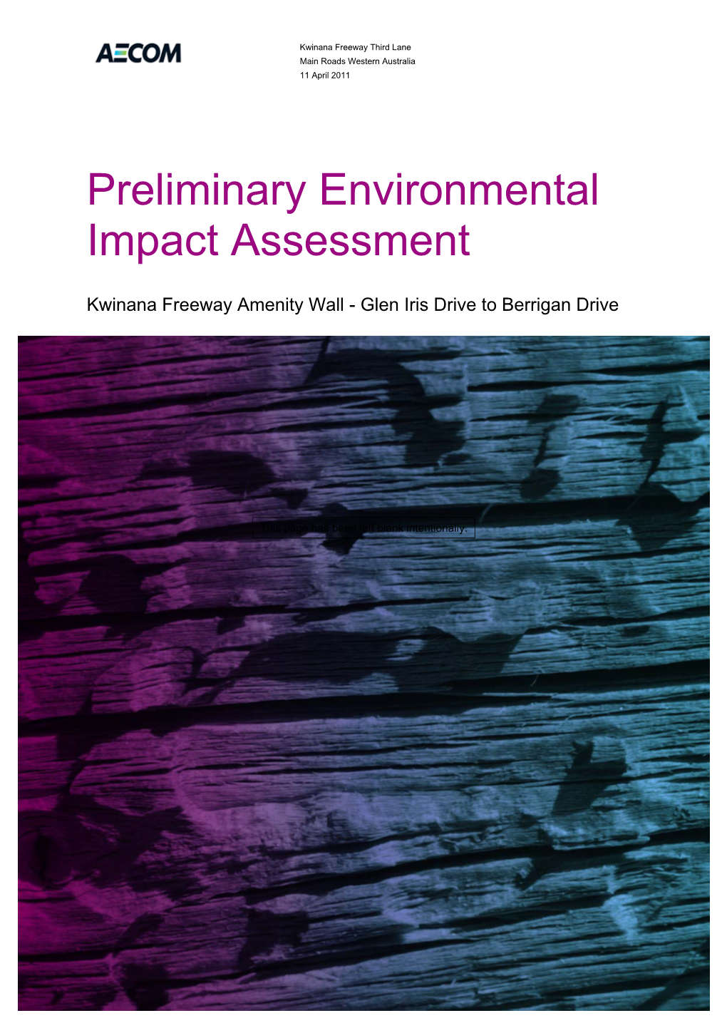 Preliminary Environmental Impact Assessment (PEIA)