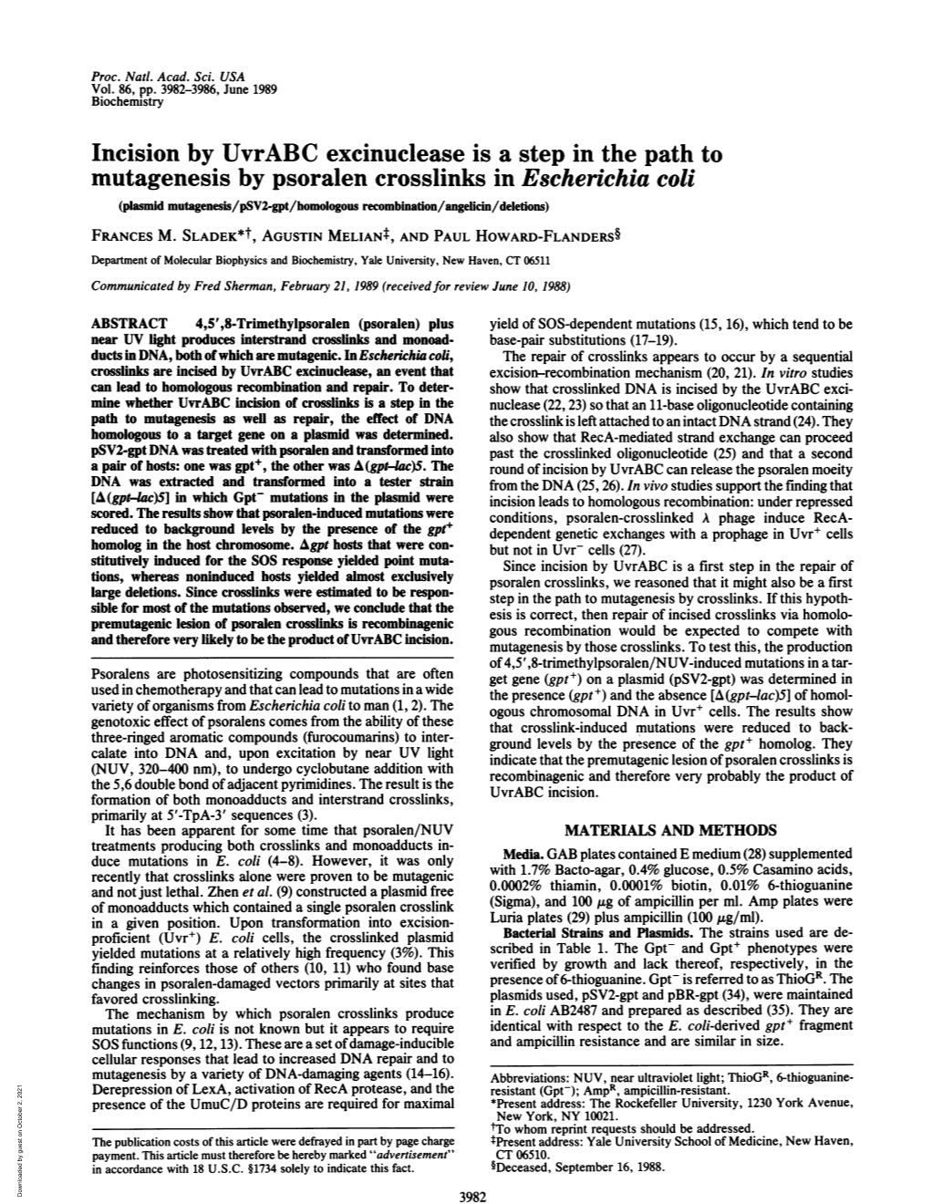 Incision by Uvrabc Excinuclease Is a Step in the Path to Mutagenesis By