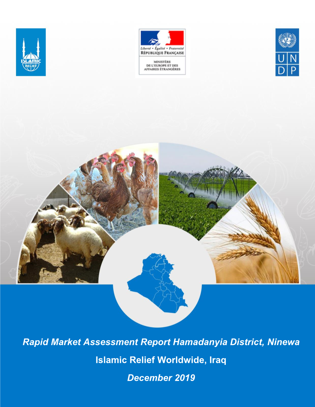 Rapid Market Assessment Report Hamadanyia District, Ninewa Islamic Relief Worldwide, Iraq December 2019