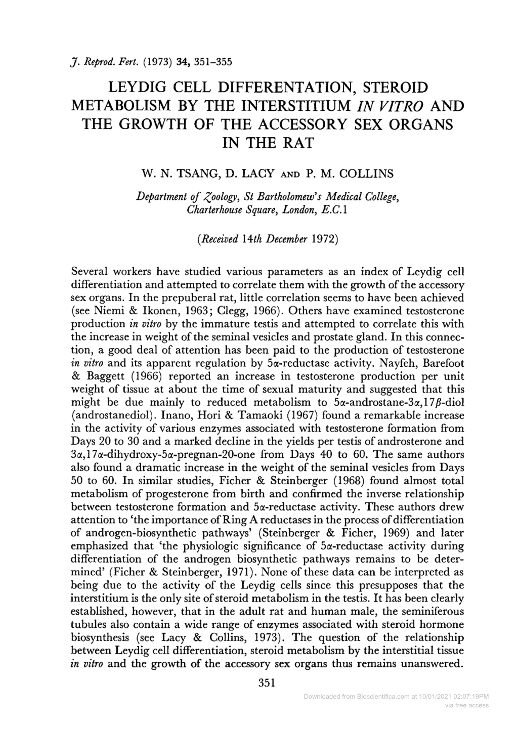 Leydig Cell Differentation, Steroid Metabolism by the Interstitium in Vitro and the Growth of the Accessory Sex Organs in the Rat