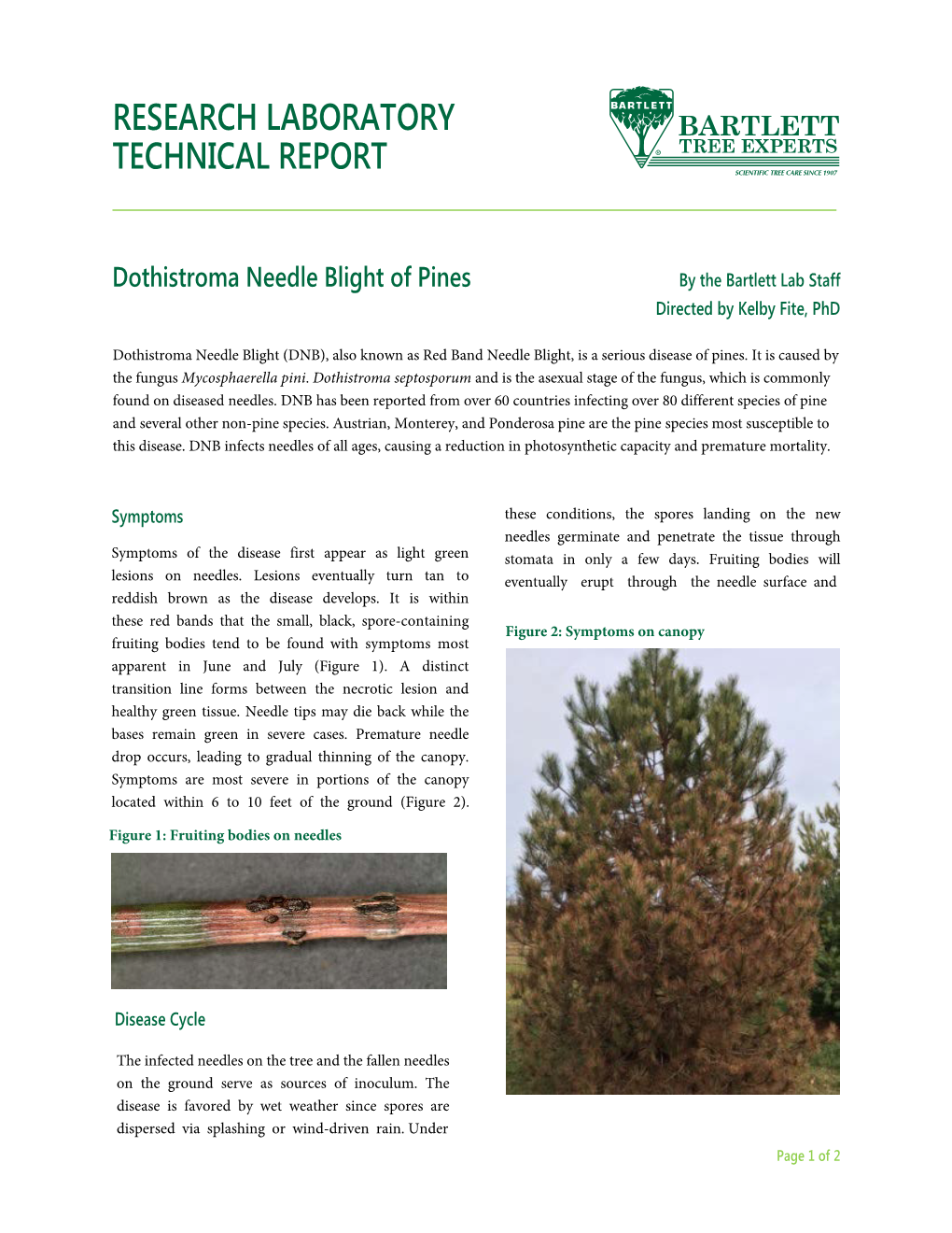 Dothistroma Needle Blight of Pines by the Bartlett Lab Staff Directed by Kelby Fite, Phd