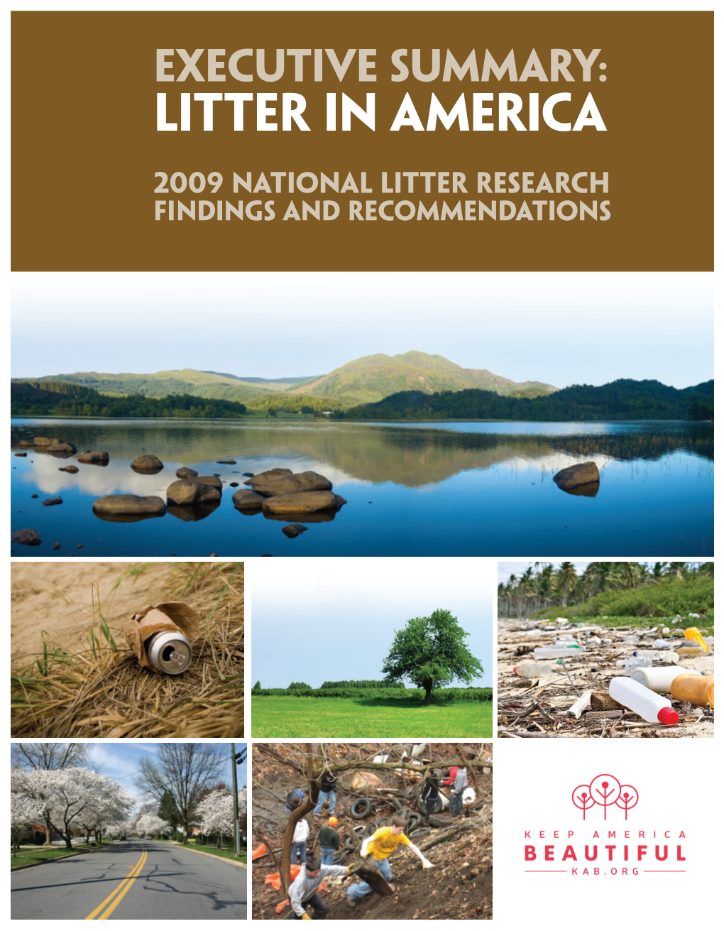 Executive Summary: Litter in America