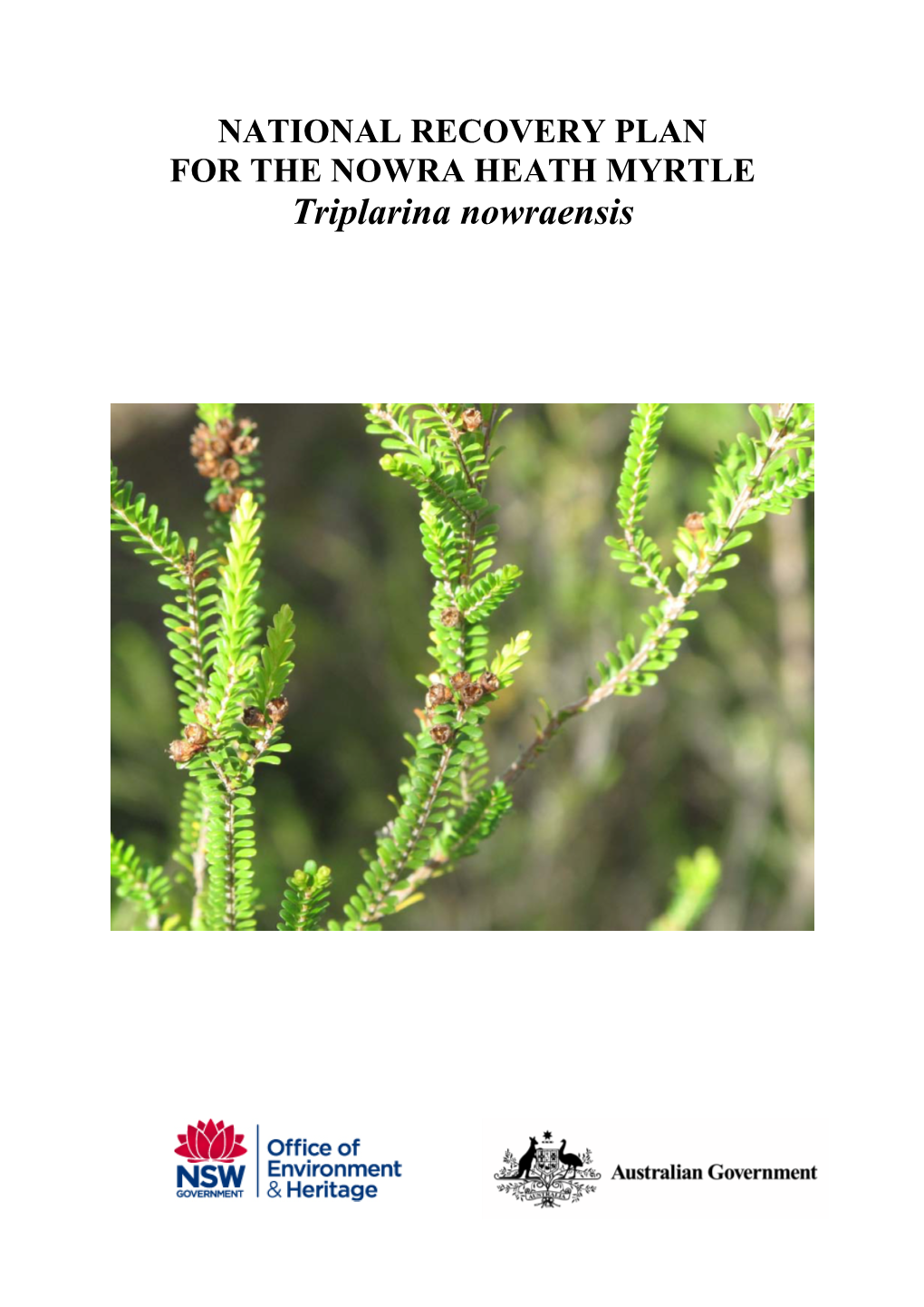 National Recovery Plan for Triplarina Nowraensis, Office of Environment and Heritage, Hurstville, (NSW)