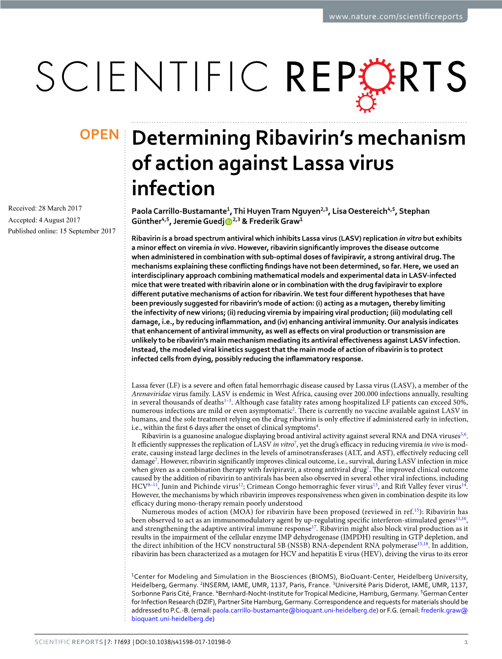 Determining Ribavirin's Mechanism of Action Against Lassa Virus Infection