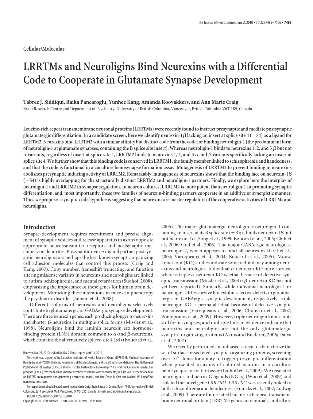 Lrrtms and Neuroligins Bind Neurexins with a Differential Code to Cooperate in Glutamate Synapse Development