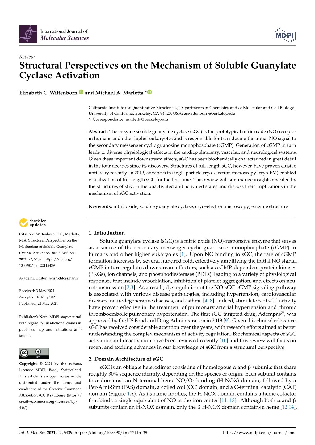 Structural Perspectives on the Mechanism of Soluble Guanylate Cyclase Activation