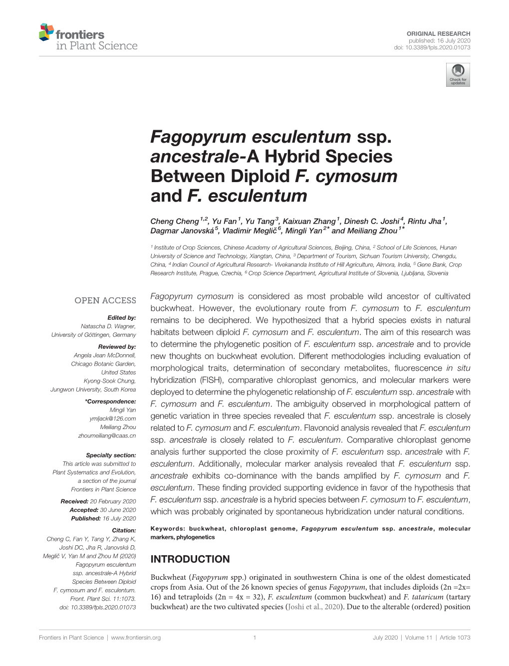 Fagopyrum Esculentum Ssp. Ancestrale-A Hybrid Species Between Diploid F