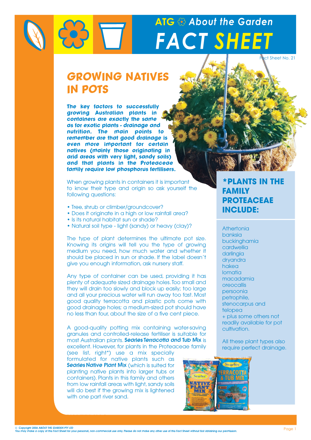 Grow Natives in Pots