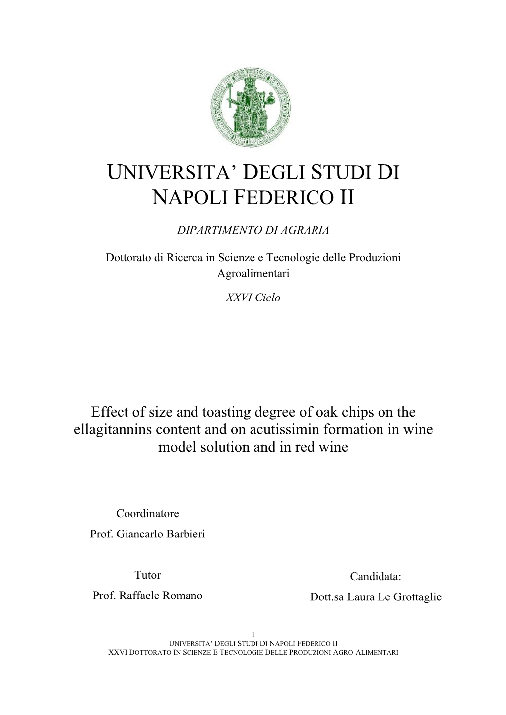 Universita' Degli Studi Di Napoli Federico Ii