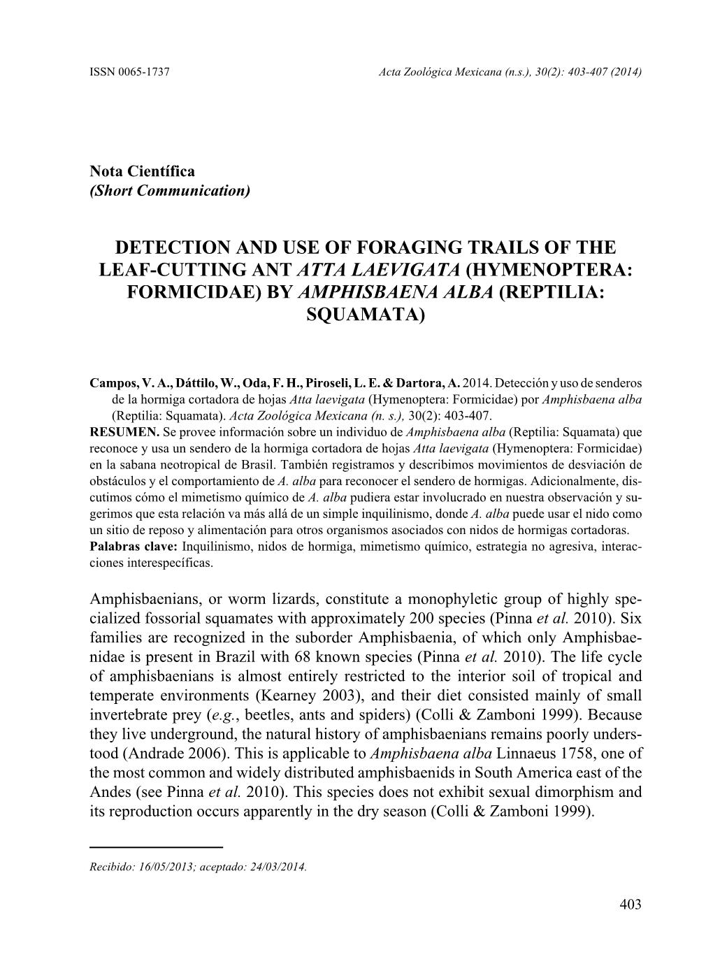 Detection and Use of Foraging Trails of the Leaf-Cutting Ant Atta Laevigata (Hymenoptera: Formicidae) by Amphisbaena Alba (Reptilia: Squamata)