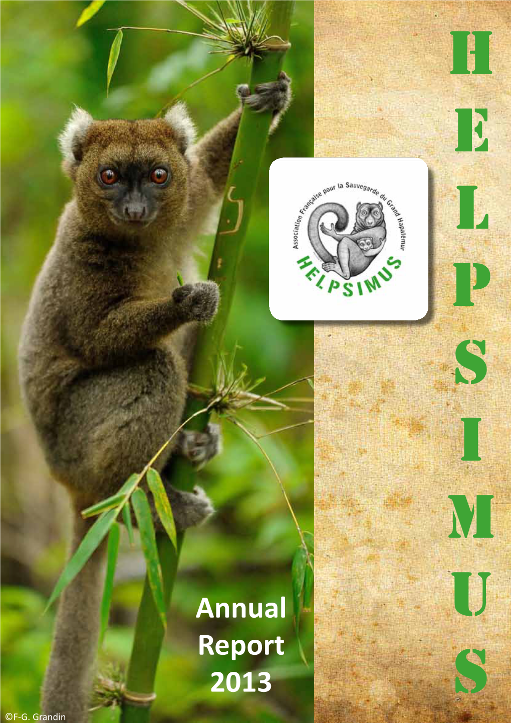 Annual Report 2013