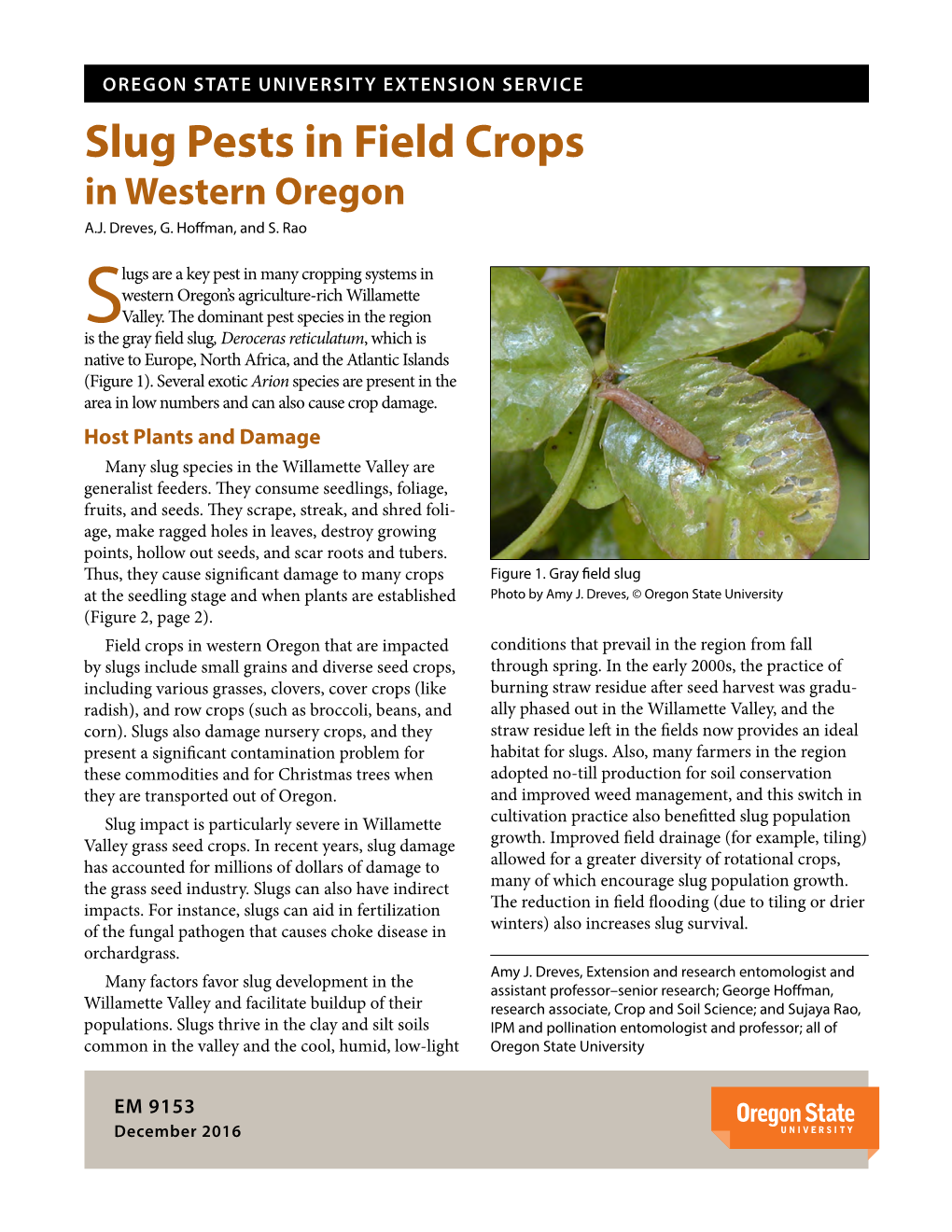 Slug Pests in Field Crops in Western Oregon A.J