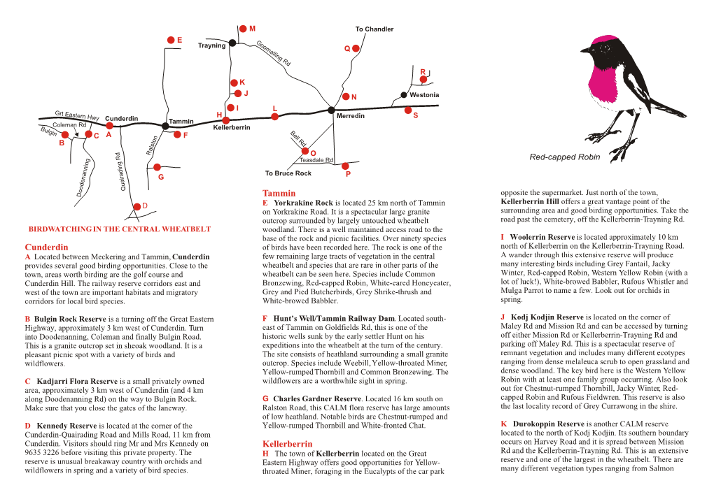 BIRDWATCHING in the CENTRAL WHEATBELT Woodland