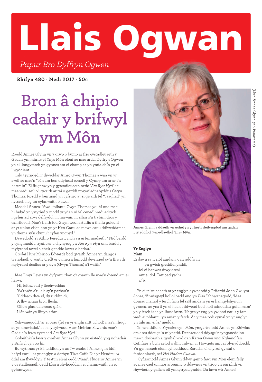 Bron Â Chipio Cadair Y Brifwyl Ym Môn