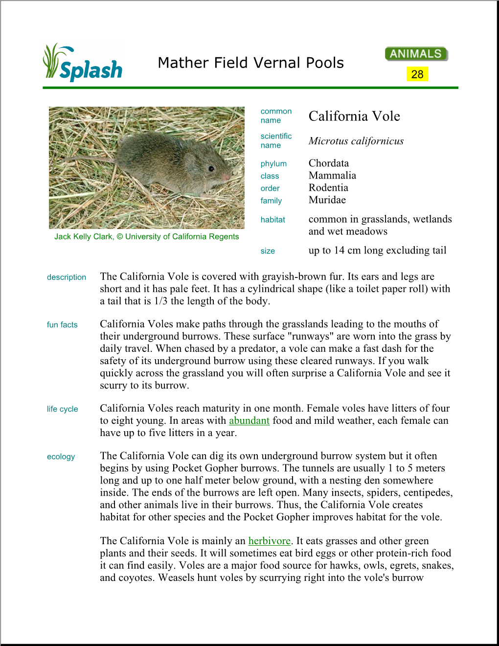 Mather Field Vernal Pools California Vole