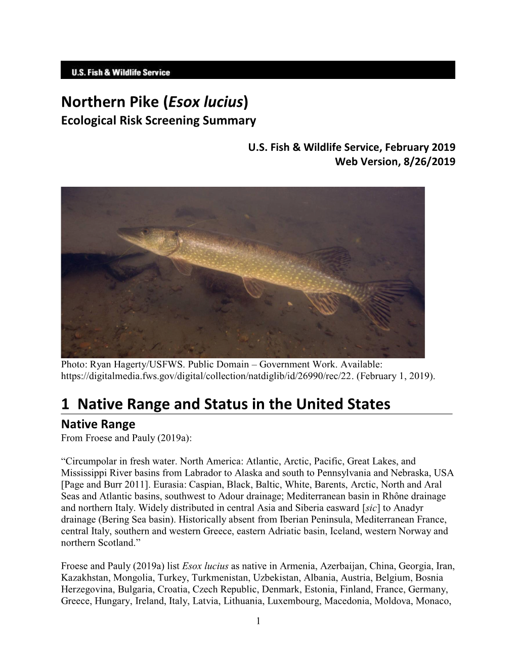 Esox Lucius) Ecological Risk Screening Summary