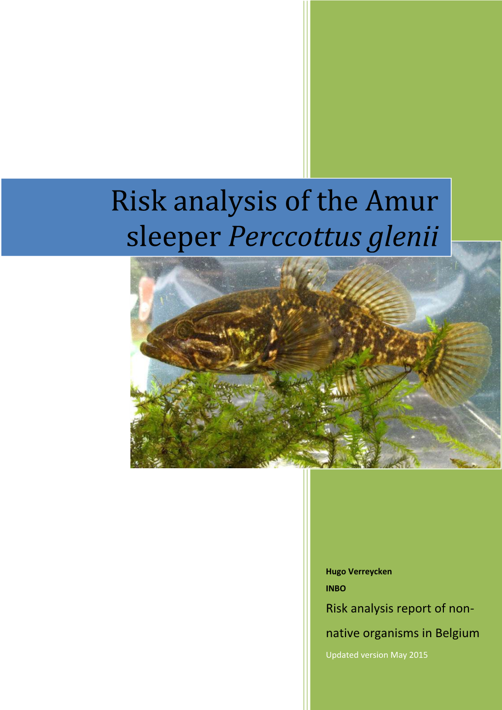 Risk Analysis of the Amur Sleeper Perccottus Glenii