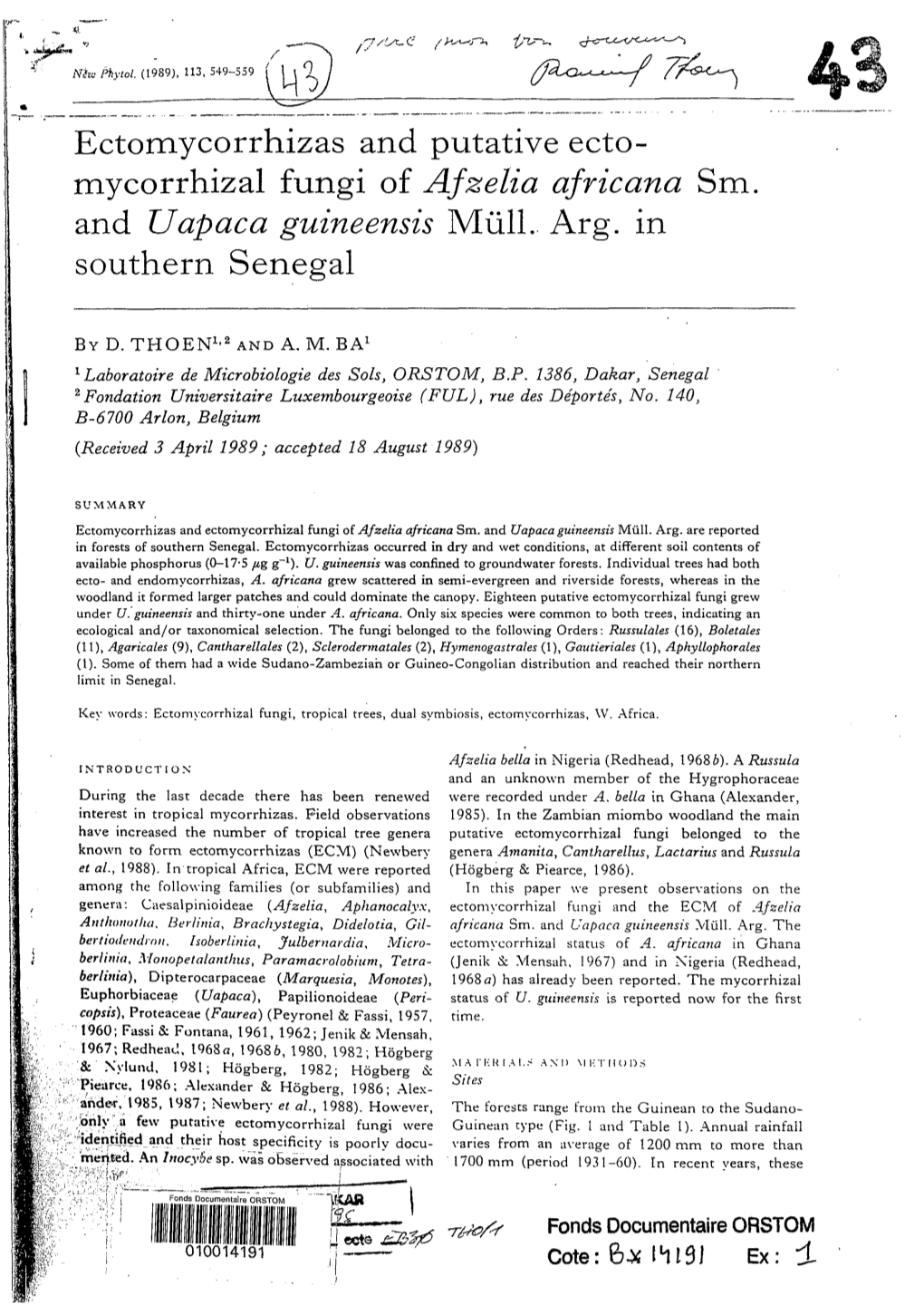 Ectomycorrhizas and Putative Ectomycorrhizal Fungi of Afzelia Africana Sm. and Uapaca Guineensis Mull. Arg. in Southern Senegal