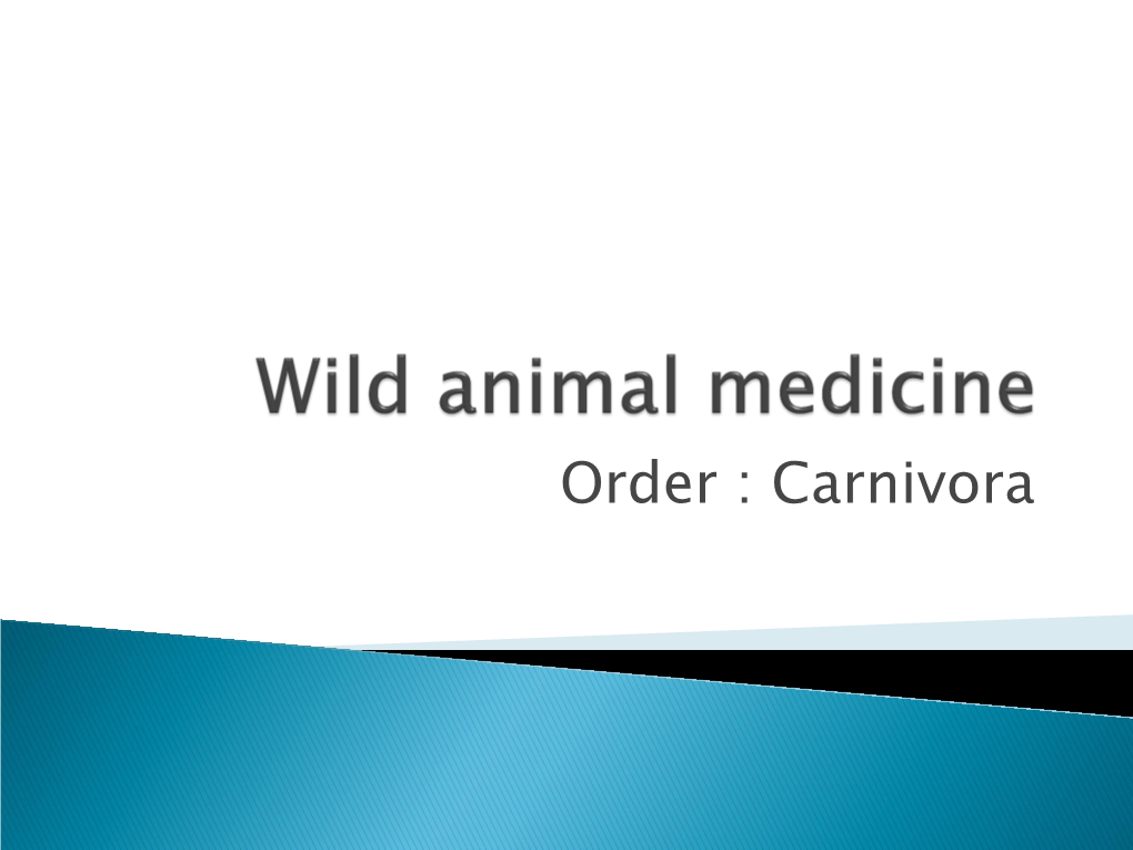 Wild Animal Medicine