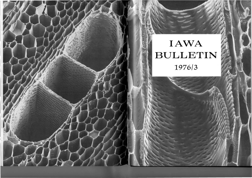 IAWA Bulletin 1976-3.Pdf