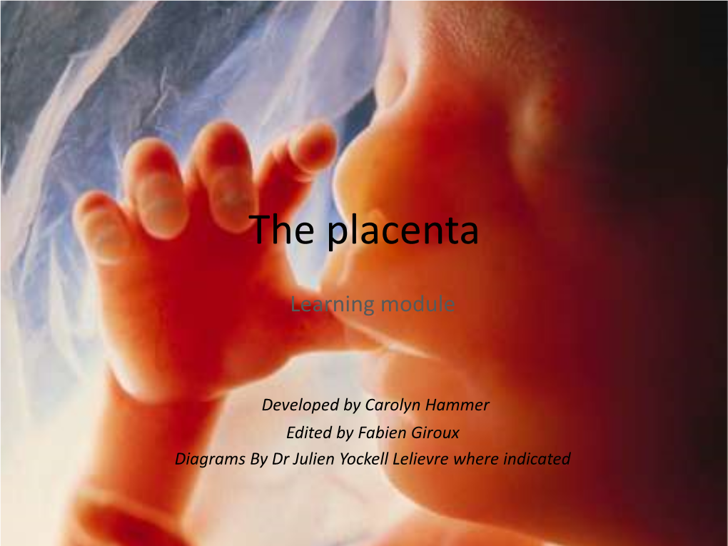 The Placenta