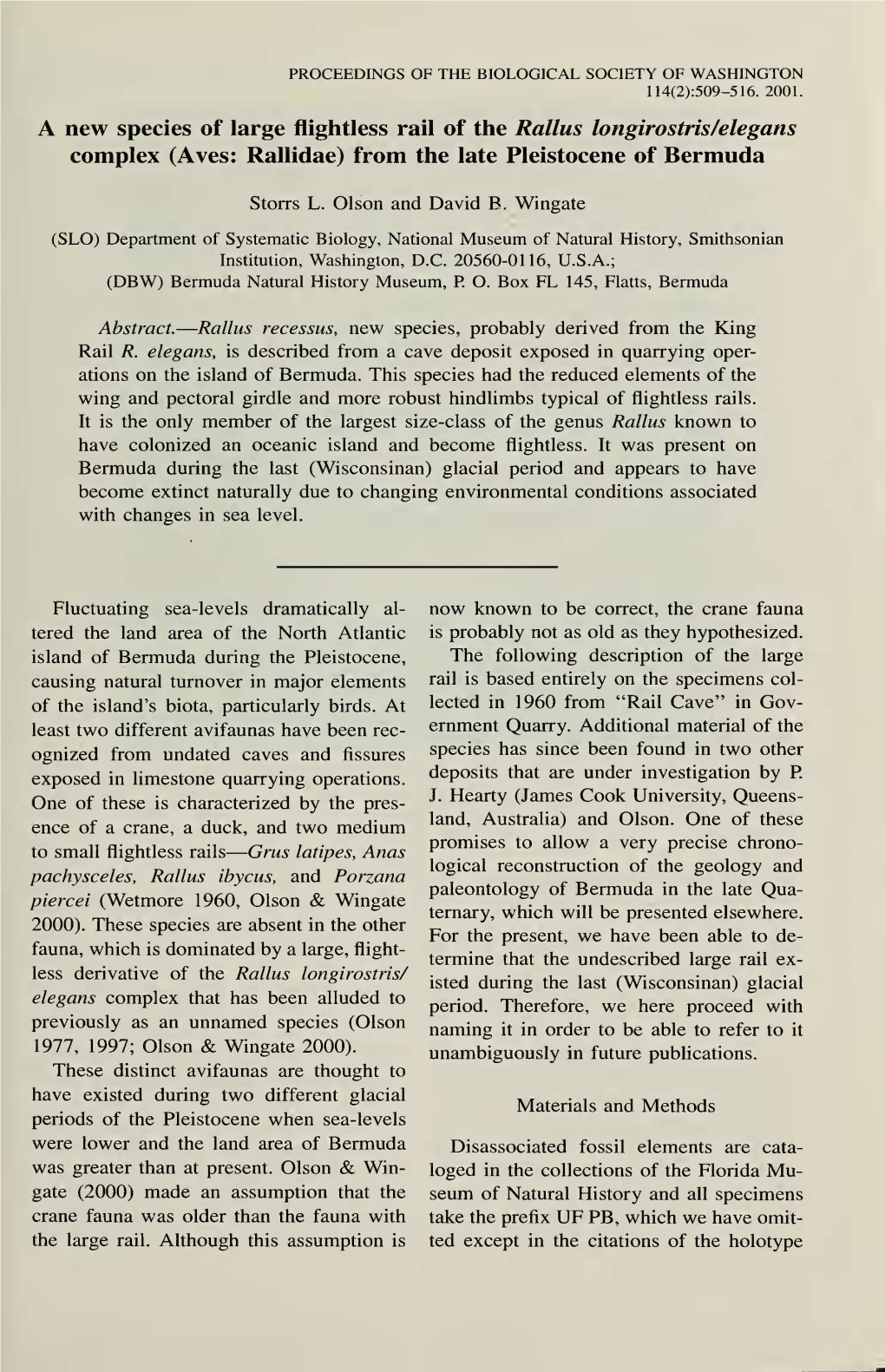Proceedings of the Biological Society of Washington 114(2):509-516