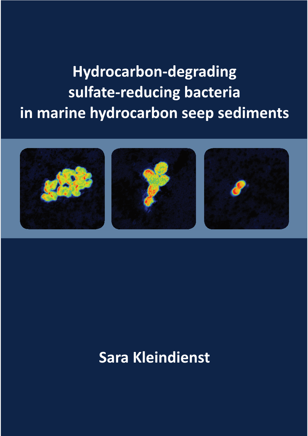 Hydrocarbon-Degrading Sulfate-Reducing Bacteria in Marine Hydrocarbon Seep Sediments