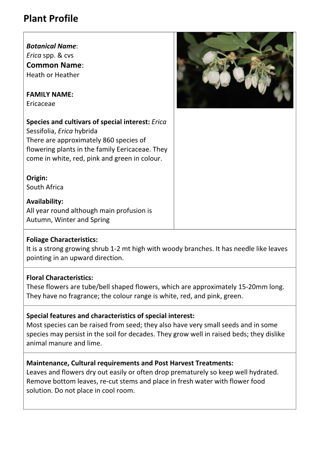 Plant Profile