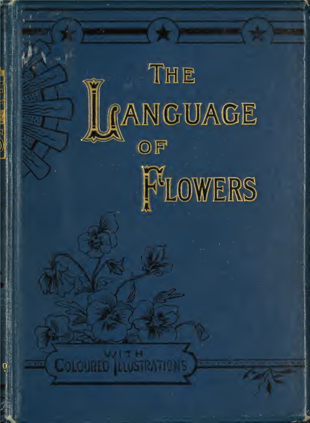The Language of Flowers Is Almost As Ancient and Universal a One As That of Speech