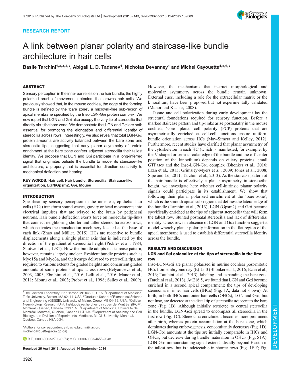 A Link Between Planar Polarity and Staircase-Like Bundle Architecture in Hair Cells Basile Tarchini1,2,3,4,*, Abigail L