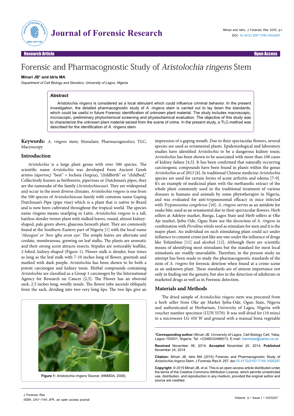 Forensic and Pharmacognostic Study of Aristolochia Ringens Stem