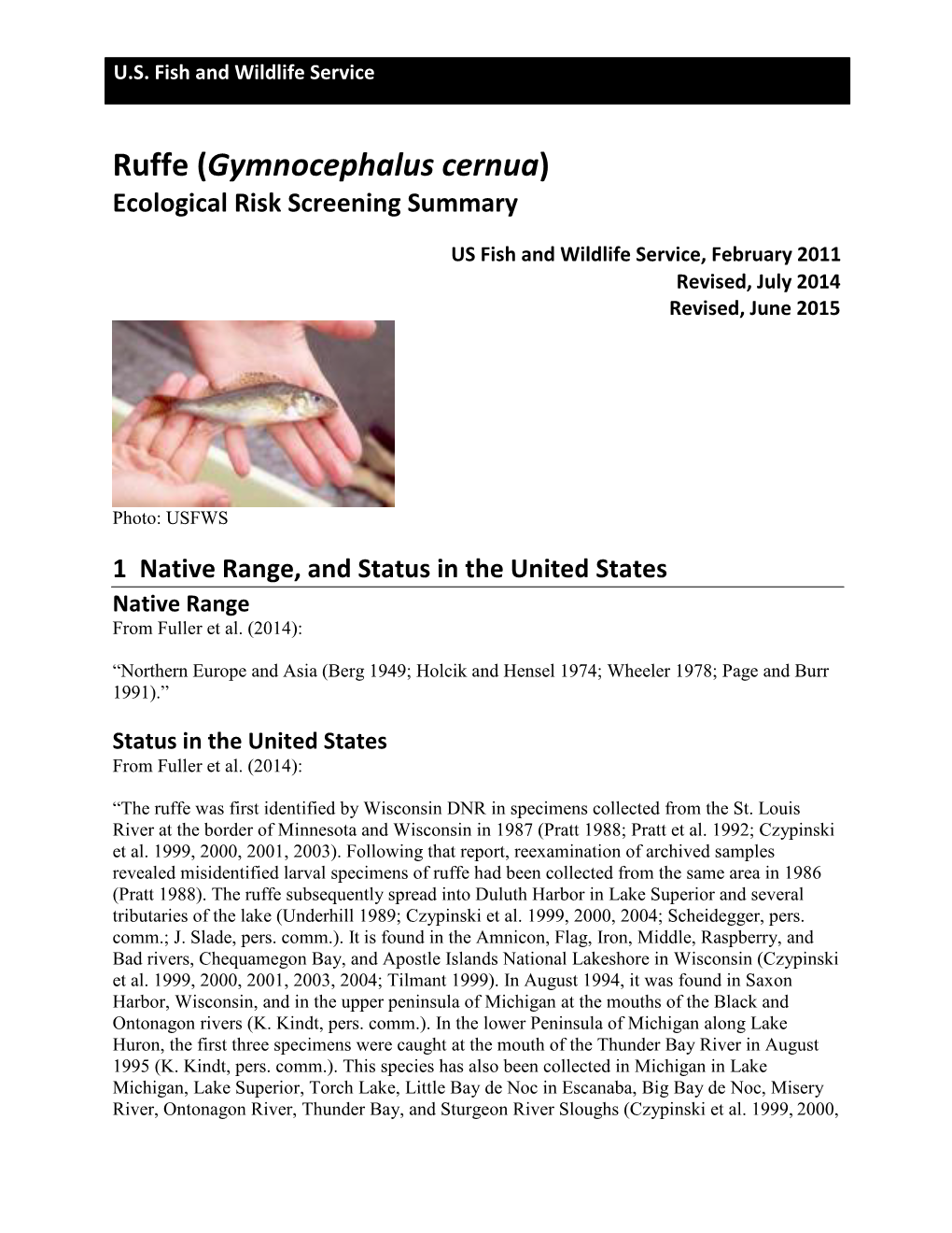 Ruffe (Gymnocephalus Cernua) Ecological Risk Screening Summary