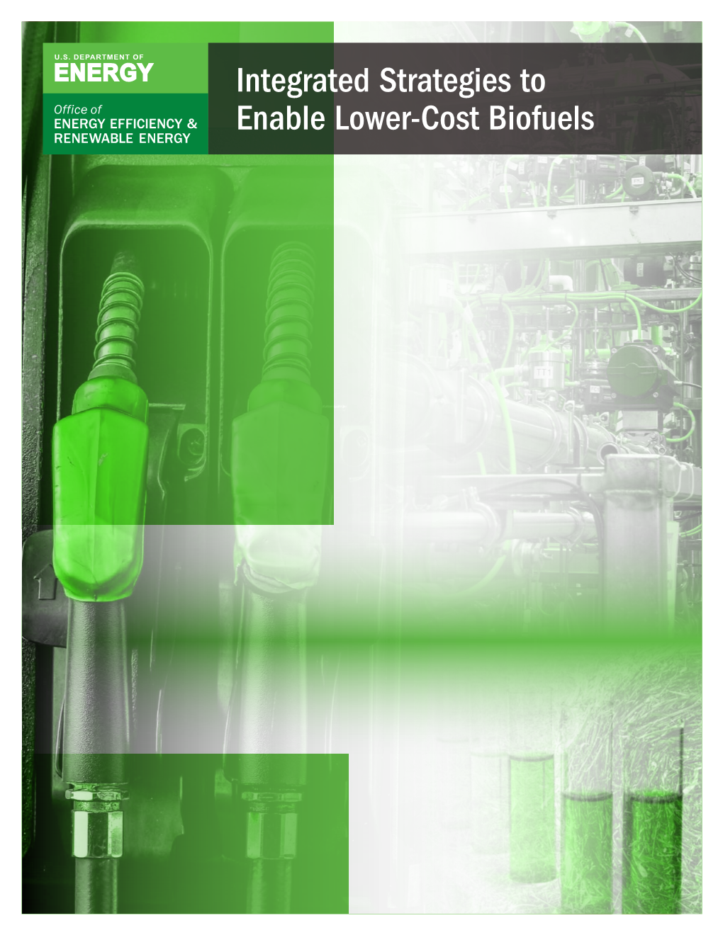 Integrated Strategies to Enable Lower-Cost Biofuels