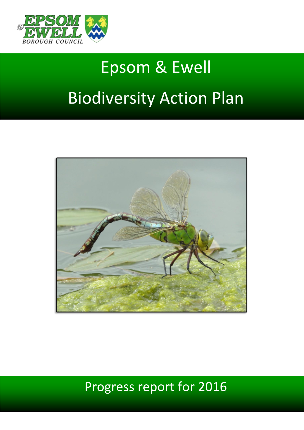 Epsom & Ewell Biodiversity Action Plan