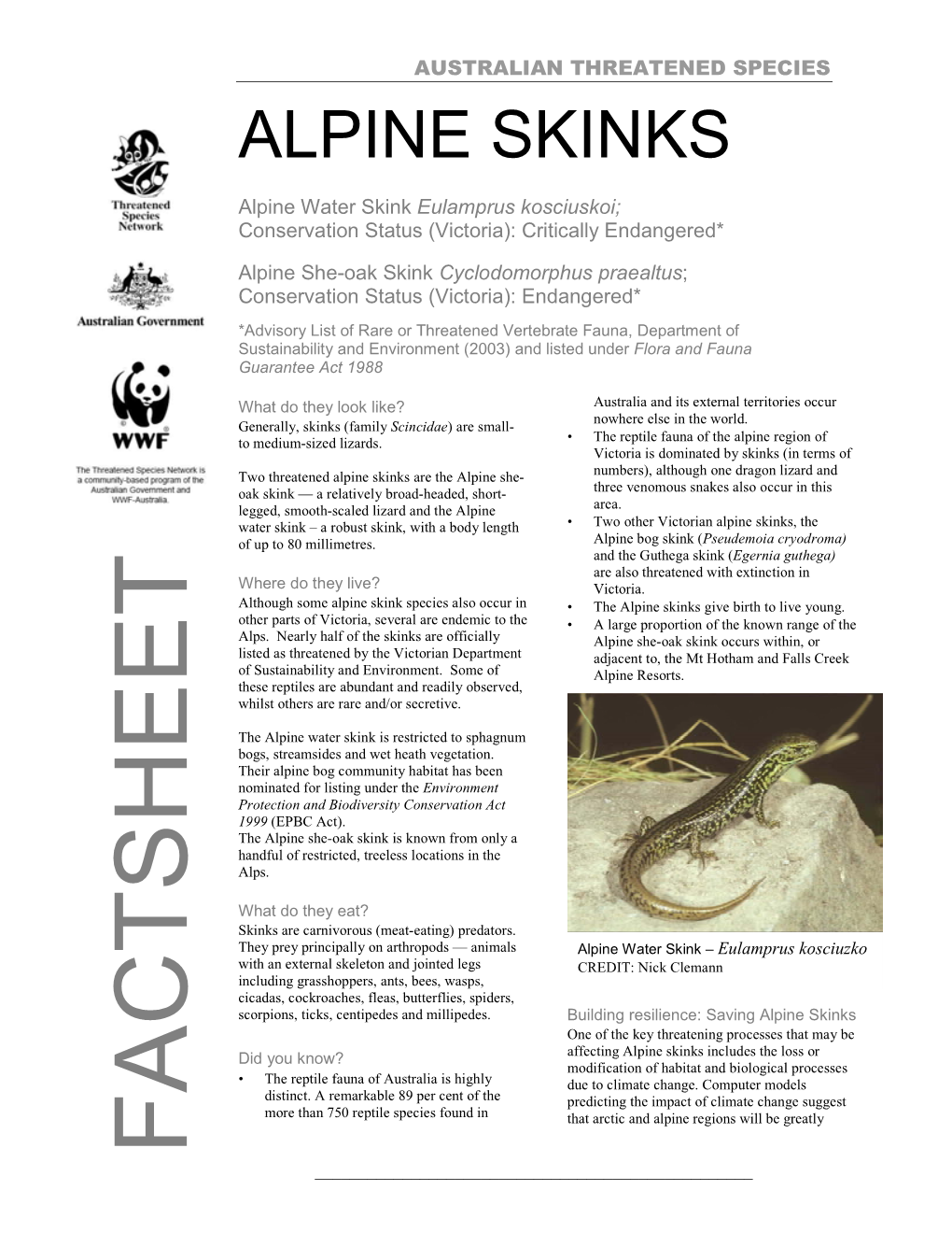 Alpine Skinks