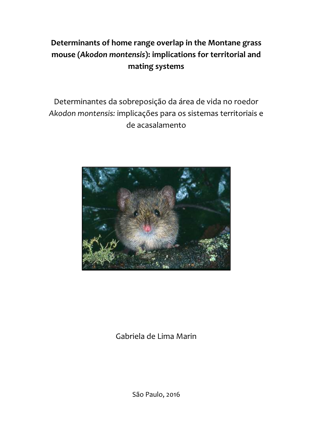 Determinants of Home Range Overlap in the Montane Grass Mouse (Akodon Montensis): Implications for Territorial and Mating Systems