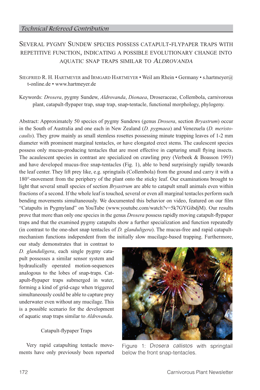 Carnivorous Plant Newsletter V44 N4 December 2015