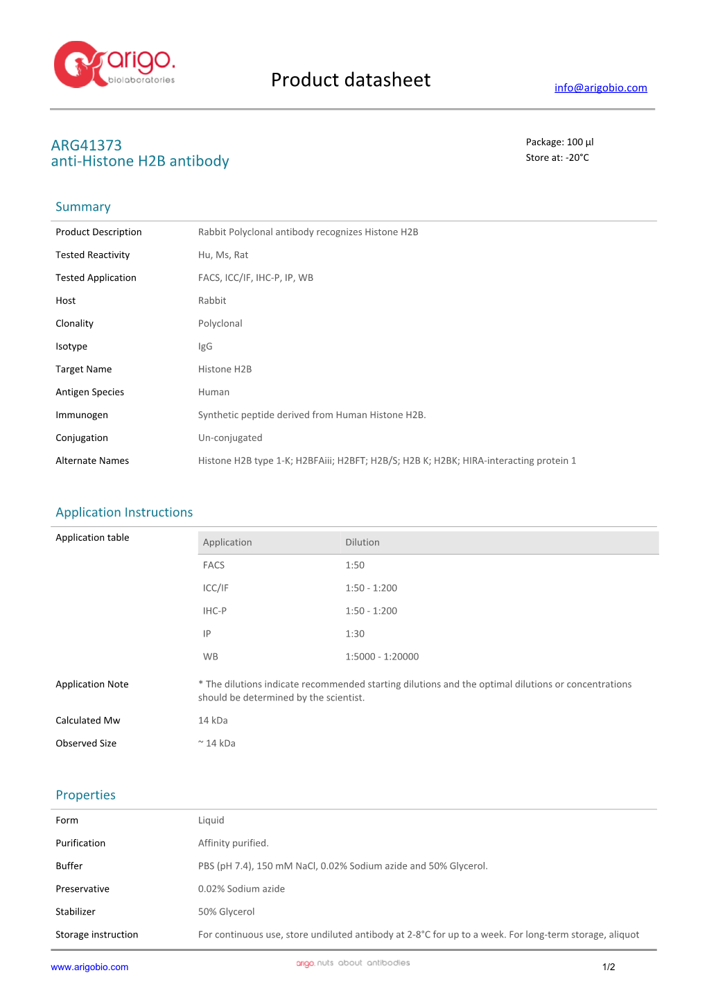 Anti-Histone H2B Antibody (ARG41373)