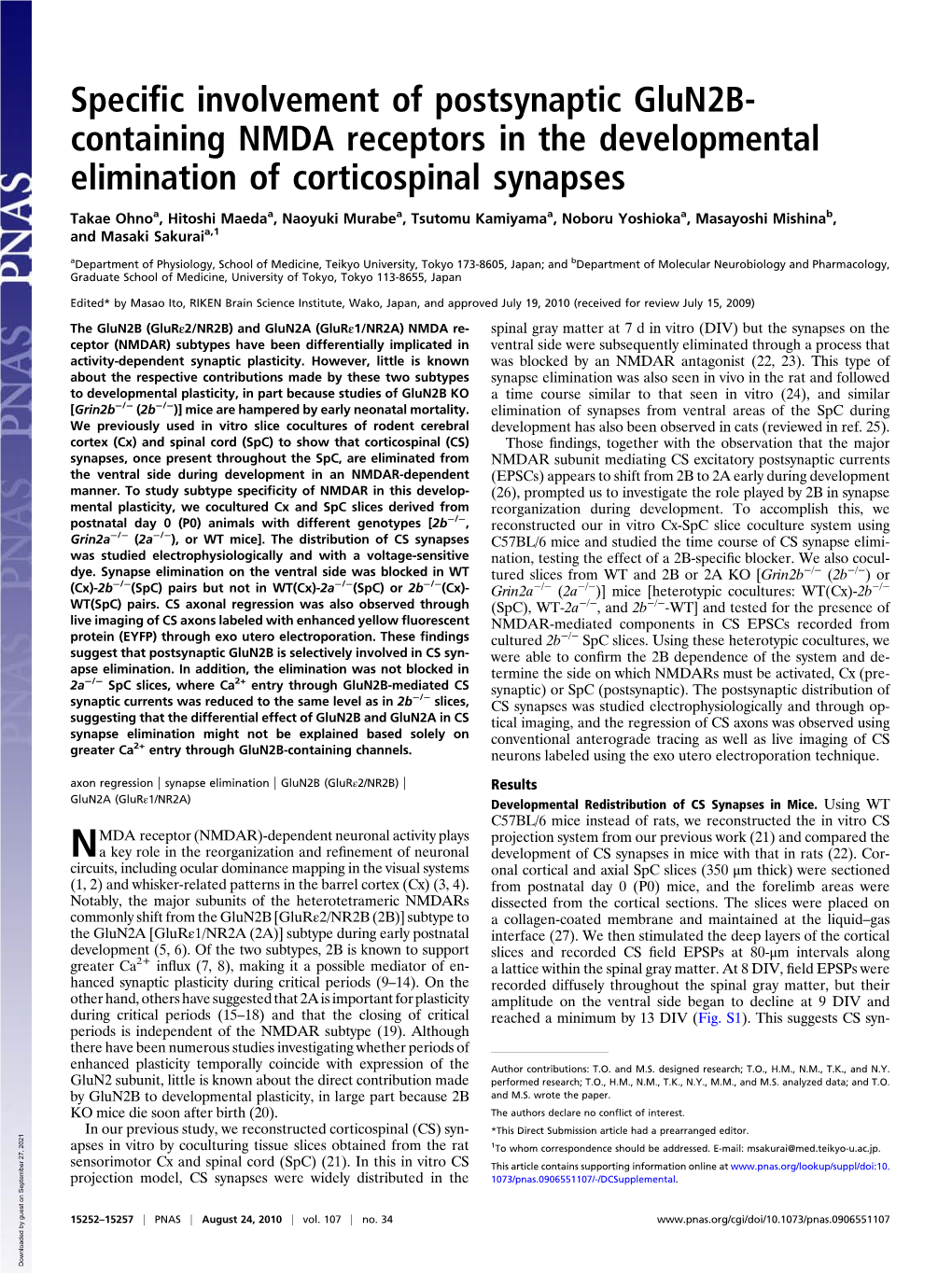 Specific Involvement of Postsynaptic Glun2b- Containing NMDA