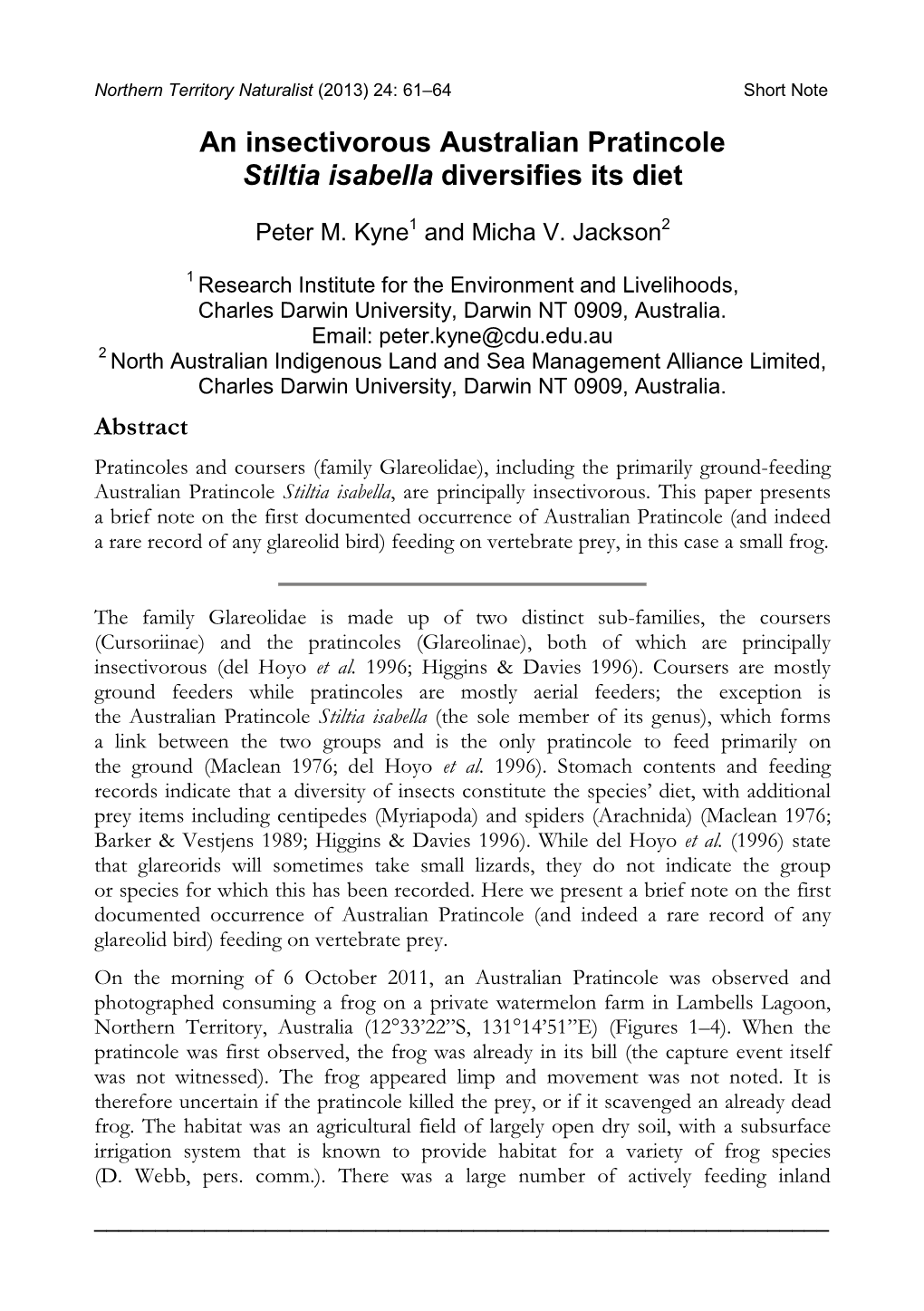 An Insectivorous Australian Pratincole Stiltia Isabella Diversifies Its Diet