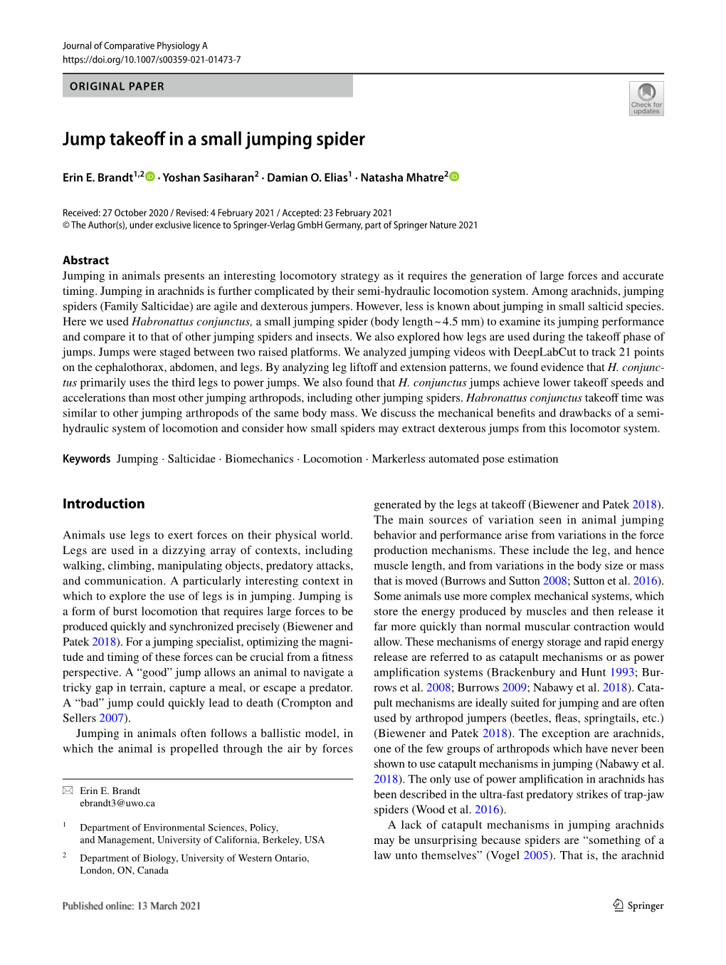 Jump Takeoff in a Small Jumping Spider