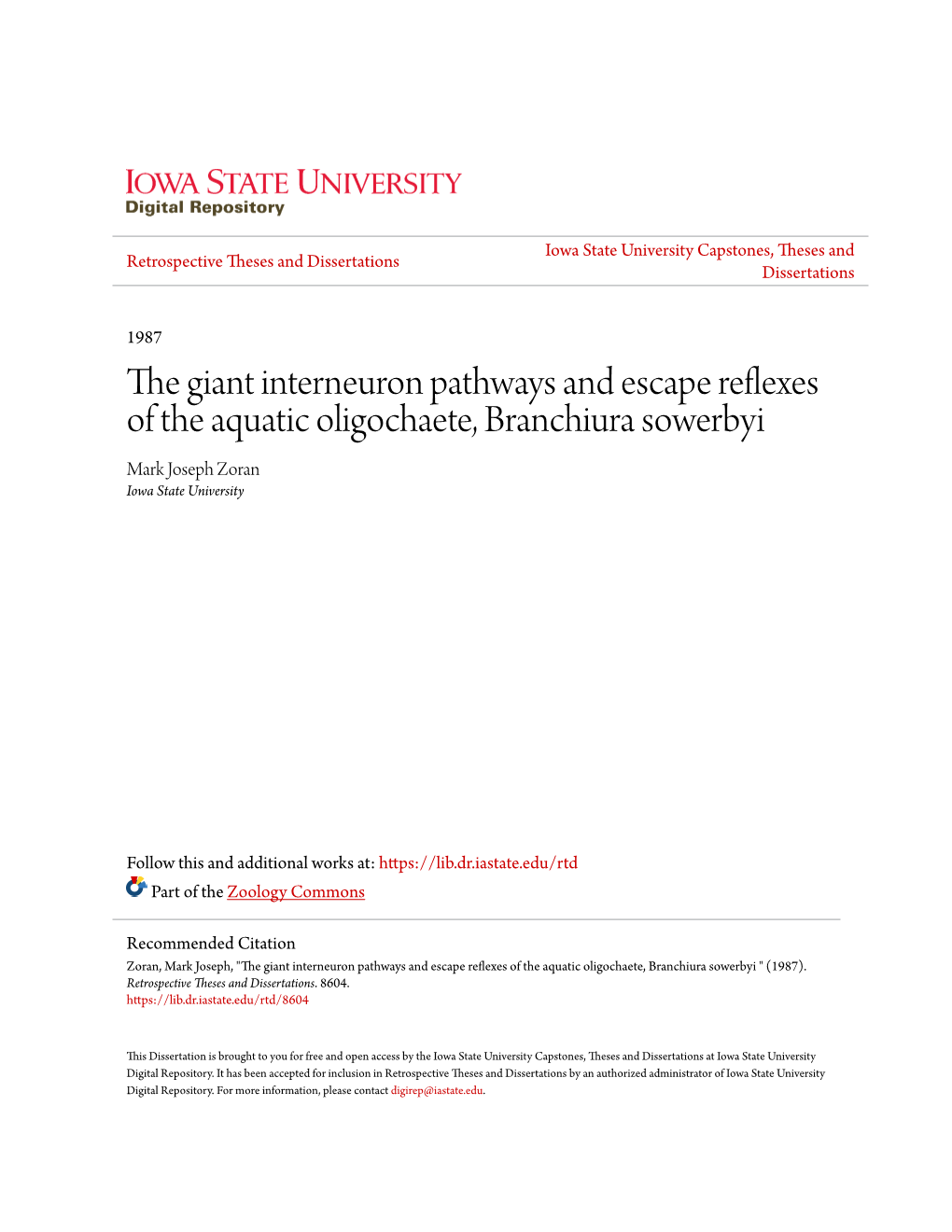 The Giant Interneuron Pathways and Escape Reflexes of the Aquatic Oligochaete, Branchiura Sowerbyi Mark Joseph Zoran Iowa State University