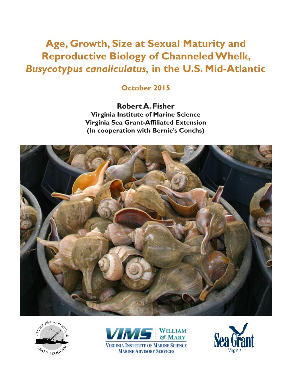 Age, Growth, Size at Sexual Maturity and Reproductive Biology of Channeled Whelk, Busycotypus Canaliculatus, in the U.S. Mid-Atlantic