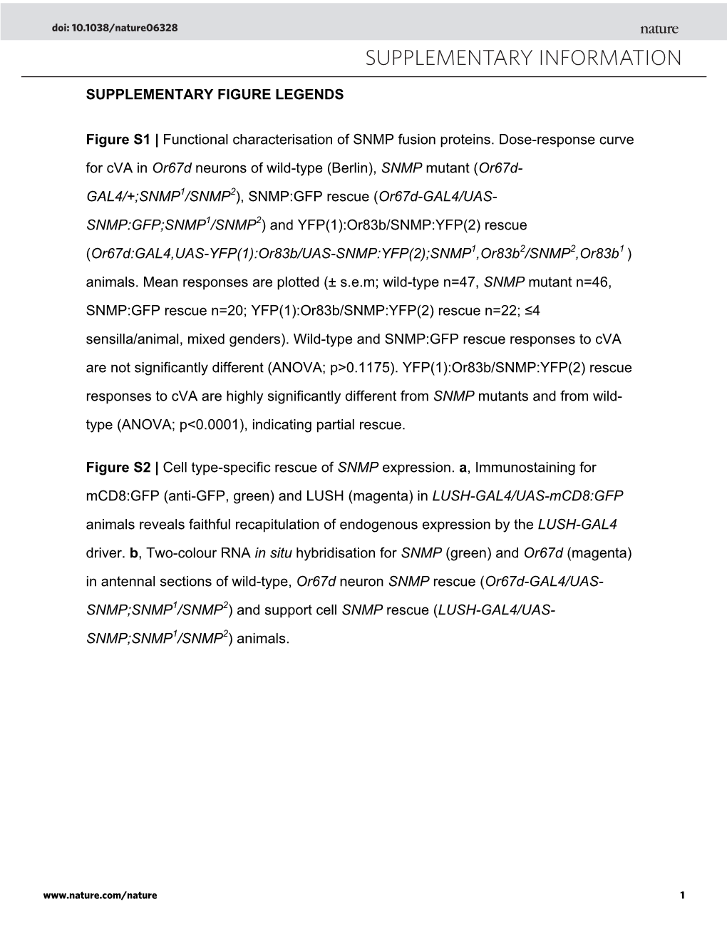 Supplementary Figure S1 Functional Characterisation of Snmp:GFP