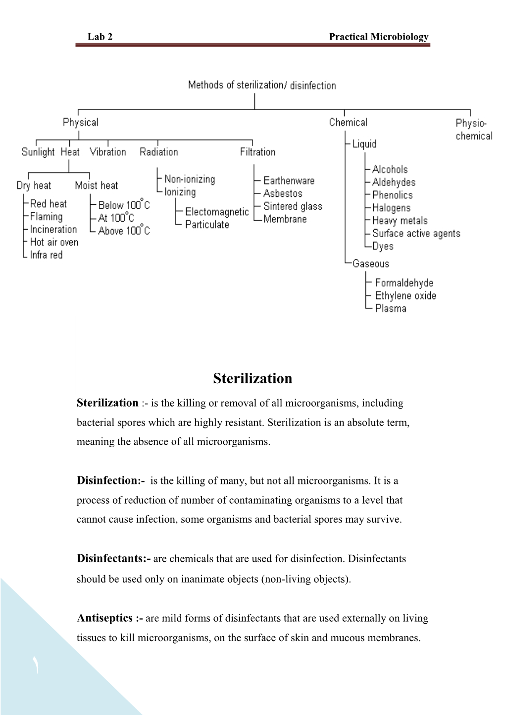 Lab 2 Practical Microbiology