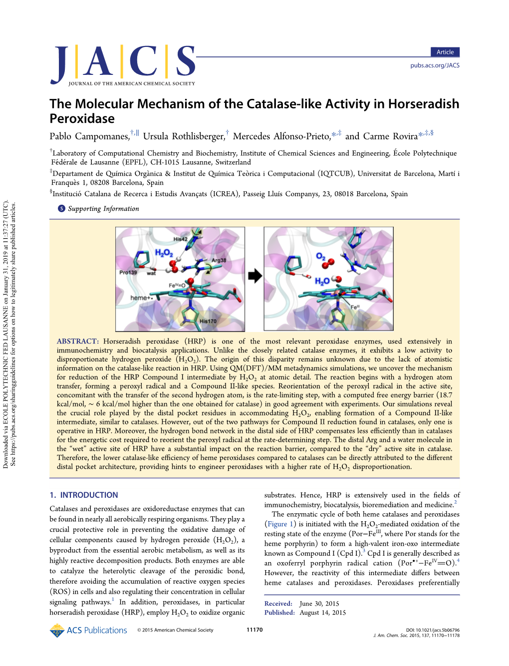 The Molecular Mechanism of the Catalase-Like Activity In