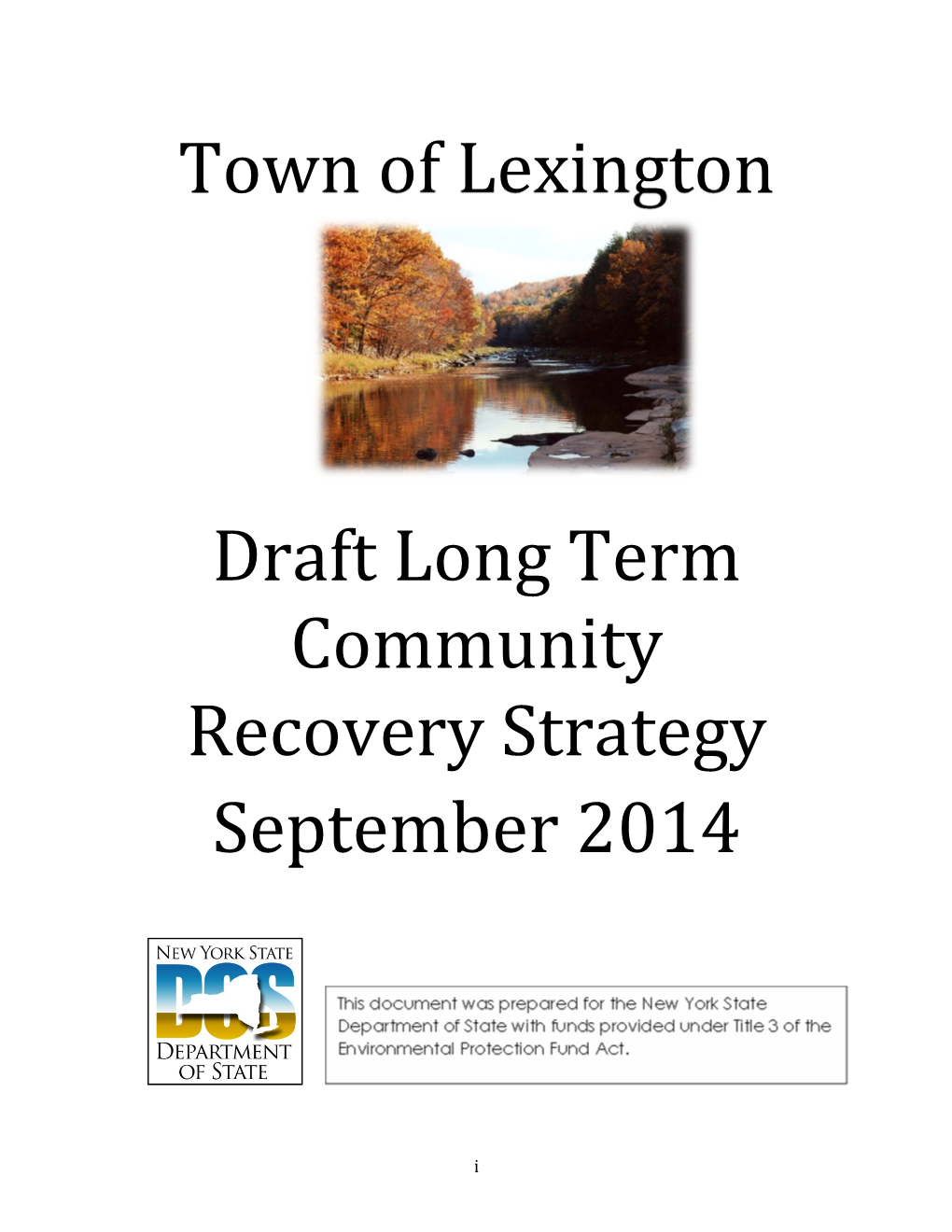 Town of Lexington Draft Long Term Community Recovery Strategy