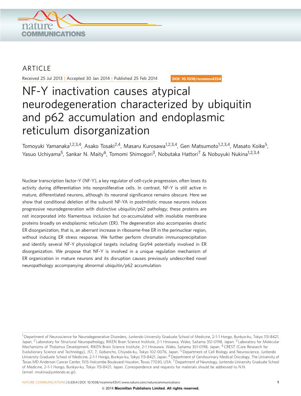 NF-Y Inactivation Causes Atypical Neurodegeneration Characterized by Ubiquitin and P62 Accumulation and Endoplasmic Reticulum Disorganization