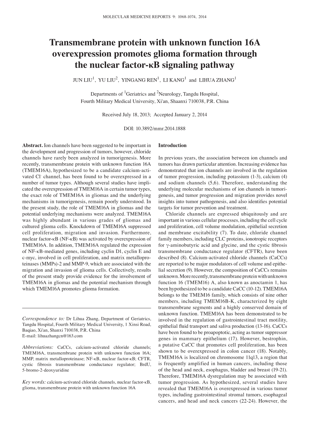 Transmembrane Protein with Unknown Function 16A Overexpression Promotes Glioma Formation Through the Nuclear Factor‑Κb Signaling Pathway