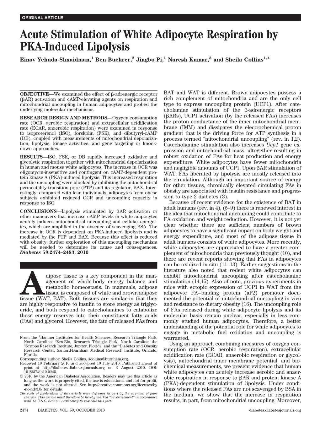 Acute Stimulation of White Adipocyte Respiration by PKA-Induced Lipolysis Einav Yehuda-Shnaidman,1 Ben Buehrer,2 Jingbo Pi,1 Naresh Kumar,3 and Sheila Collins1,4